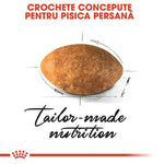 Tailor-made nutrition concept for Persian cat with pet food kibble and measurements