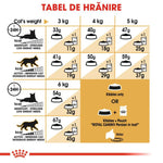Royal Canin Persian cat feeding chart by weight and activity for kibbles and wet food