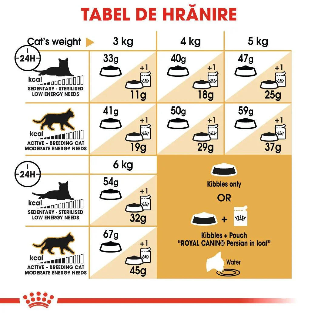 Royal Canin Persian cat feeding chart by weight and activity for kibbles and wet food
