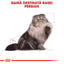 Royal Canin Persian Adult hrana umeda pisica (pate)