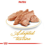 Chunks of adapted texture wet pet food on white plate with gold rim, Royal Canin branding