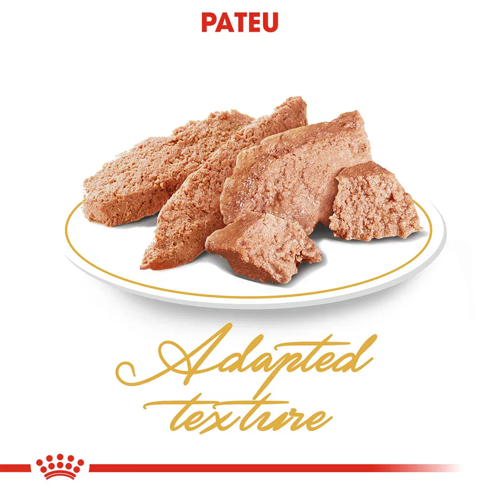Chunks of adapted texture wet pet food on white plate with gold rim, Royal Canin branding