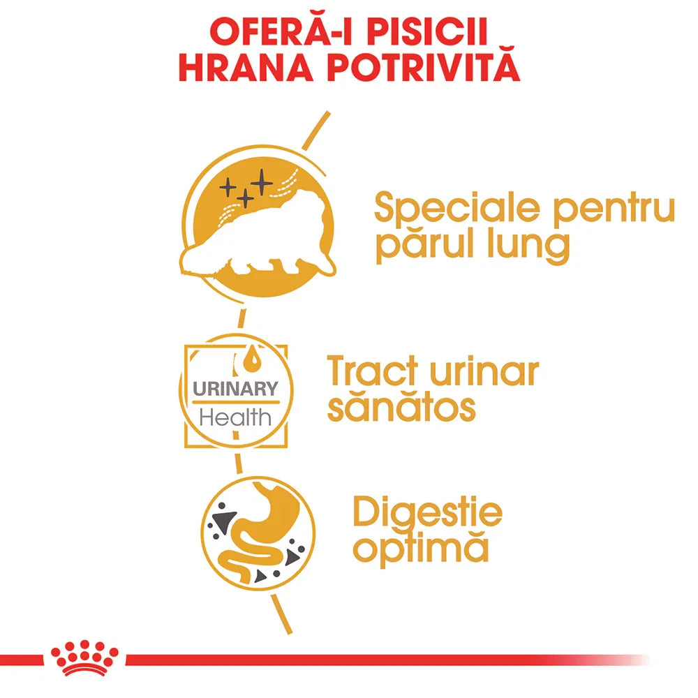 Romanian cat food benefits for long hair, urinary health, and optimal digestion with icons