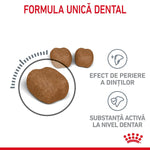 Three brown dental care kibble pieces showing unique formula, brushing effect, and active substance benefits