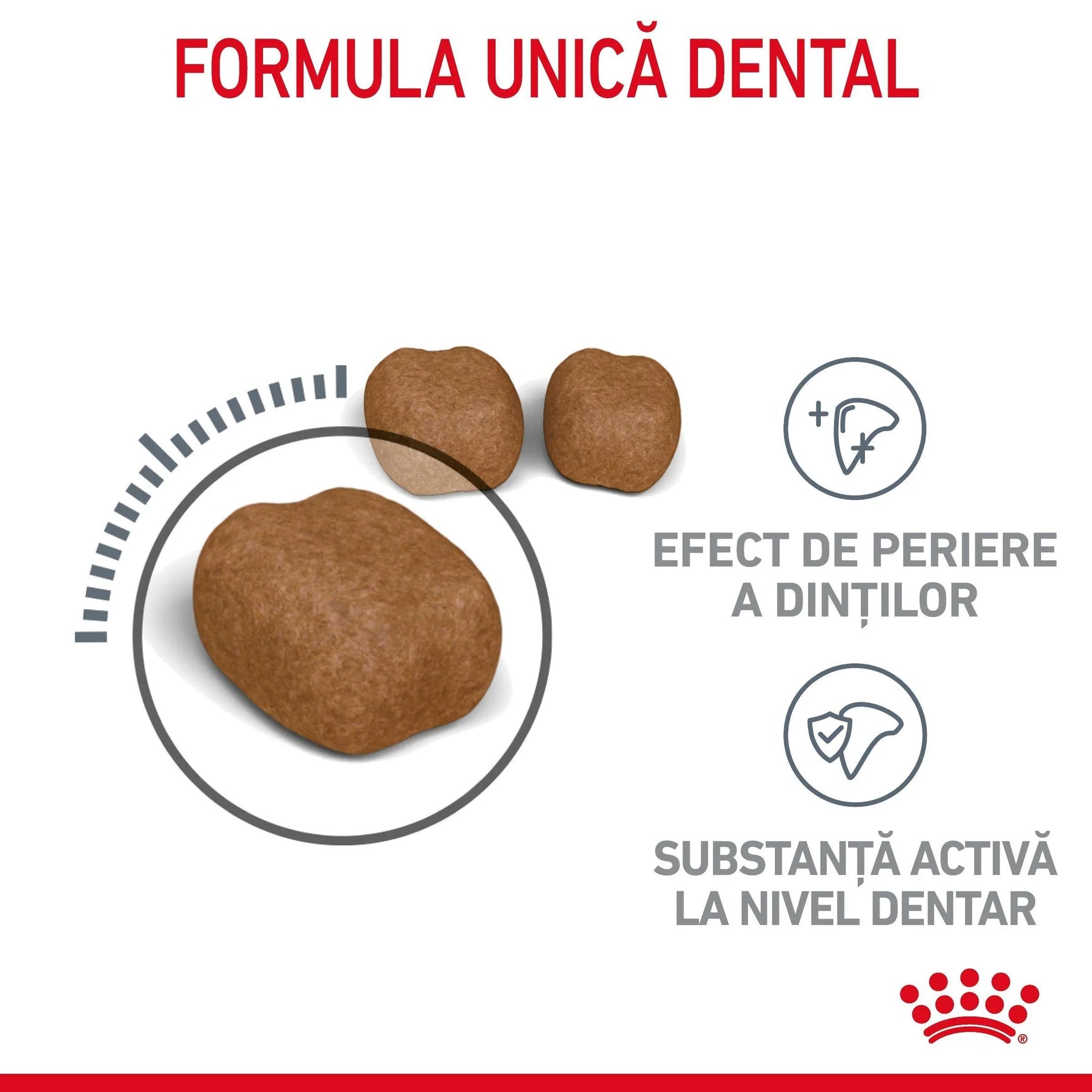 Three brown dental care kibble pieces showing unique formula, brushing effect, and active substance benefits
