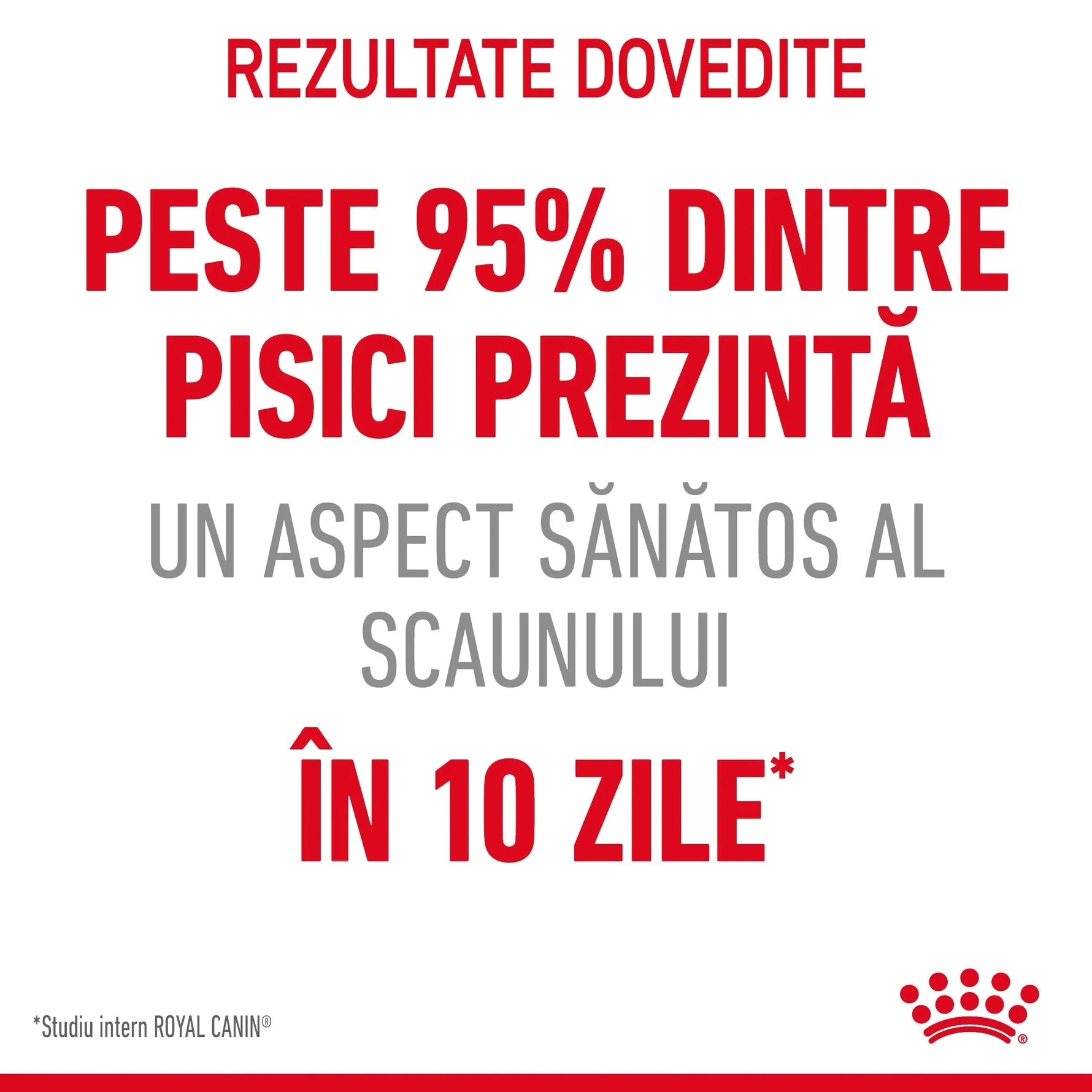 Romanian text stating over 95% of cats show healthy stool in 10 days, Royal Canin digestive care