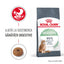 Royal Canin Digestive Care Adult hrana uscata pisica, confort digestiv