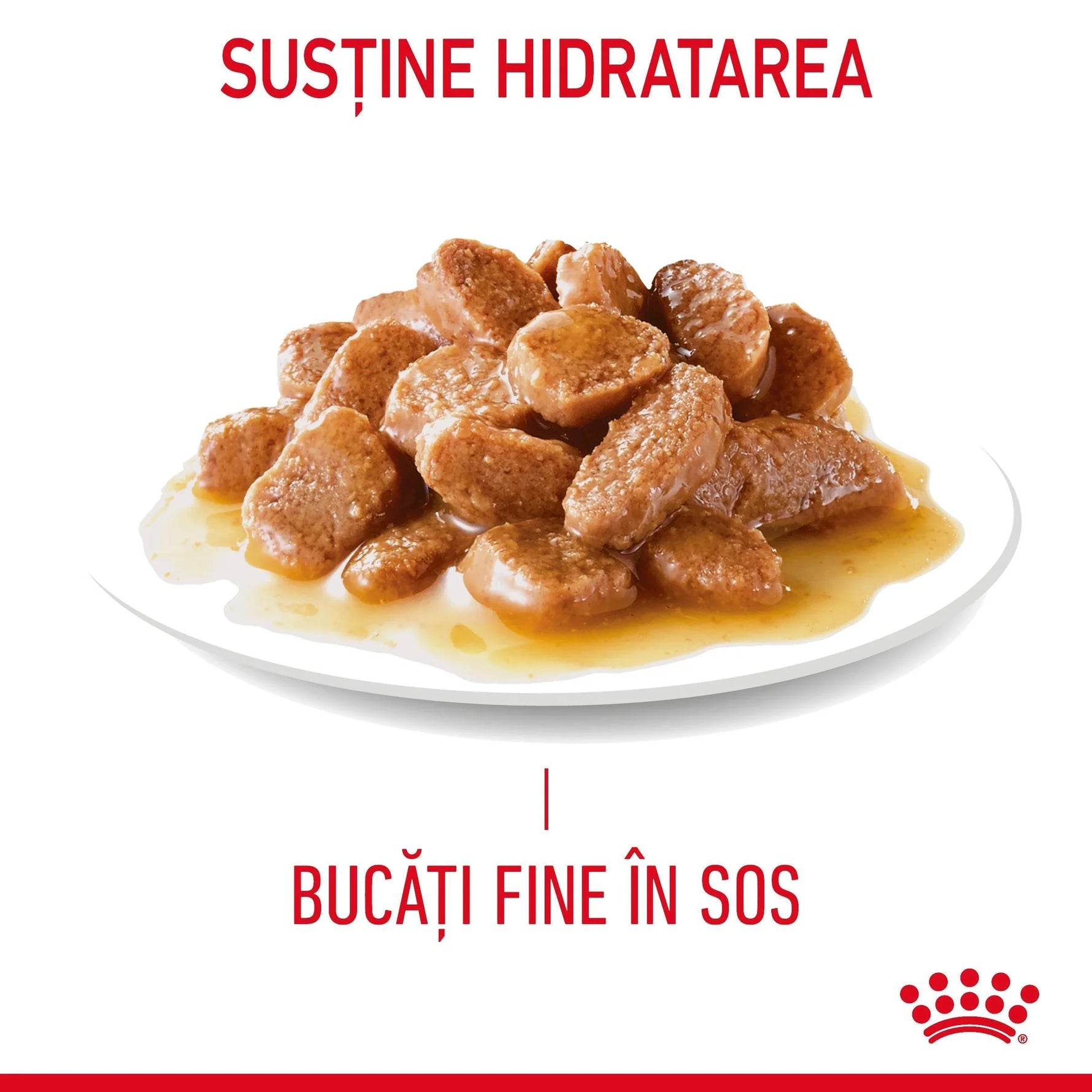 Plate of finely chopped wet dog food chunks in gravy supporting hydration with Romanian text