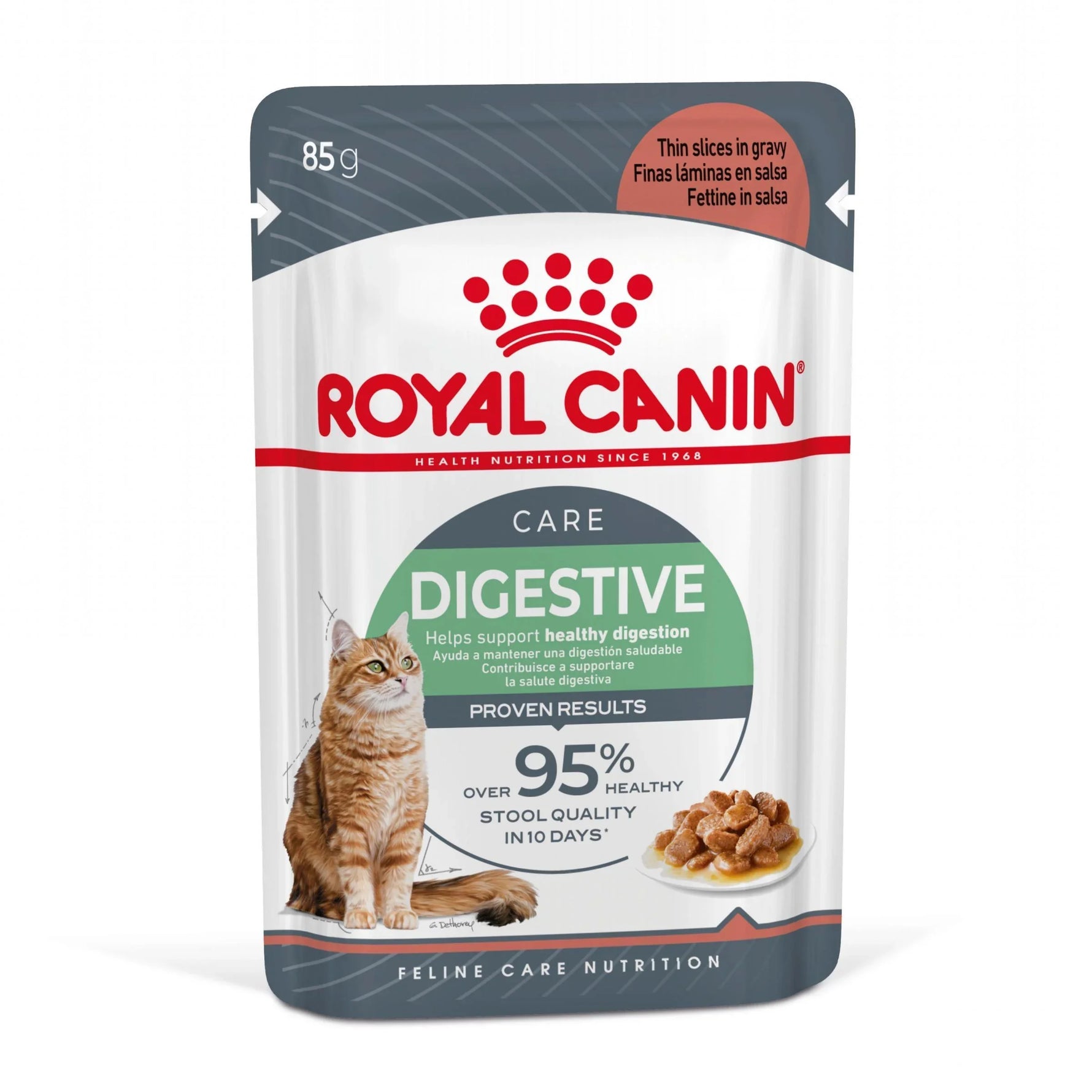 Royal Canin Digestive Care cat food pouch with orange tabby cat image and gravy slices
