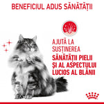 Fluffy long-haired cat with text in Romanian about supporting skin health and shiny fur