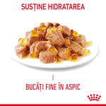 Plate of finely chopped meat pieces in golden aspic jelly with hydration support text