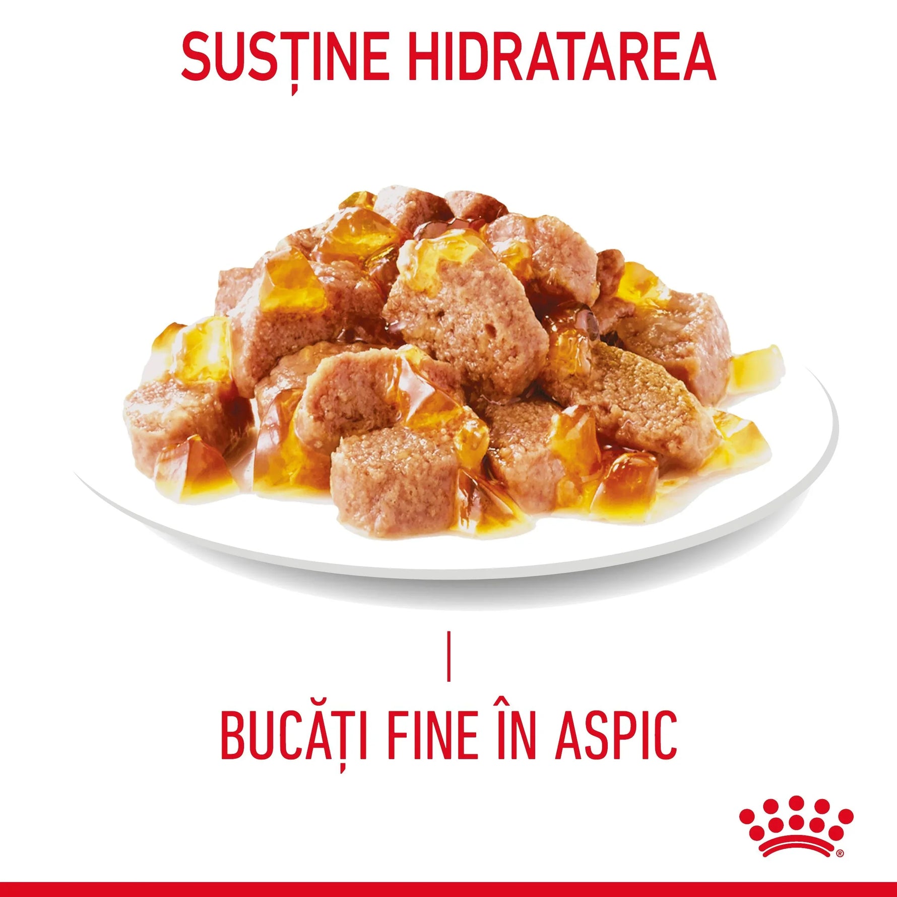 Plate of finely chopped meat pieces in golden aspic jelly with hydration support text