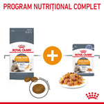 Royal Canin Hair & Skin cat food dry kibble and wet food in jelly for healthy skin and shiny coat