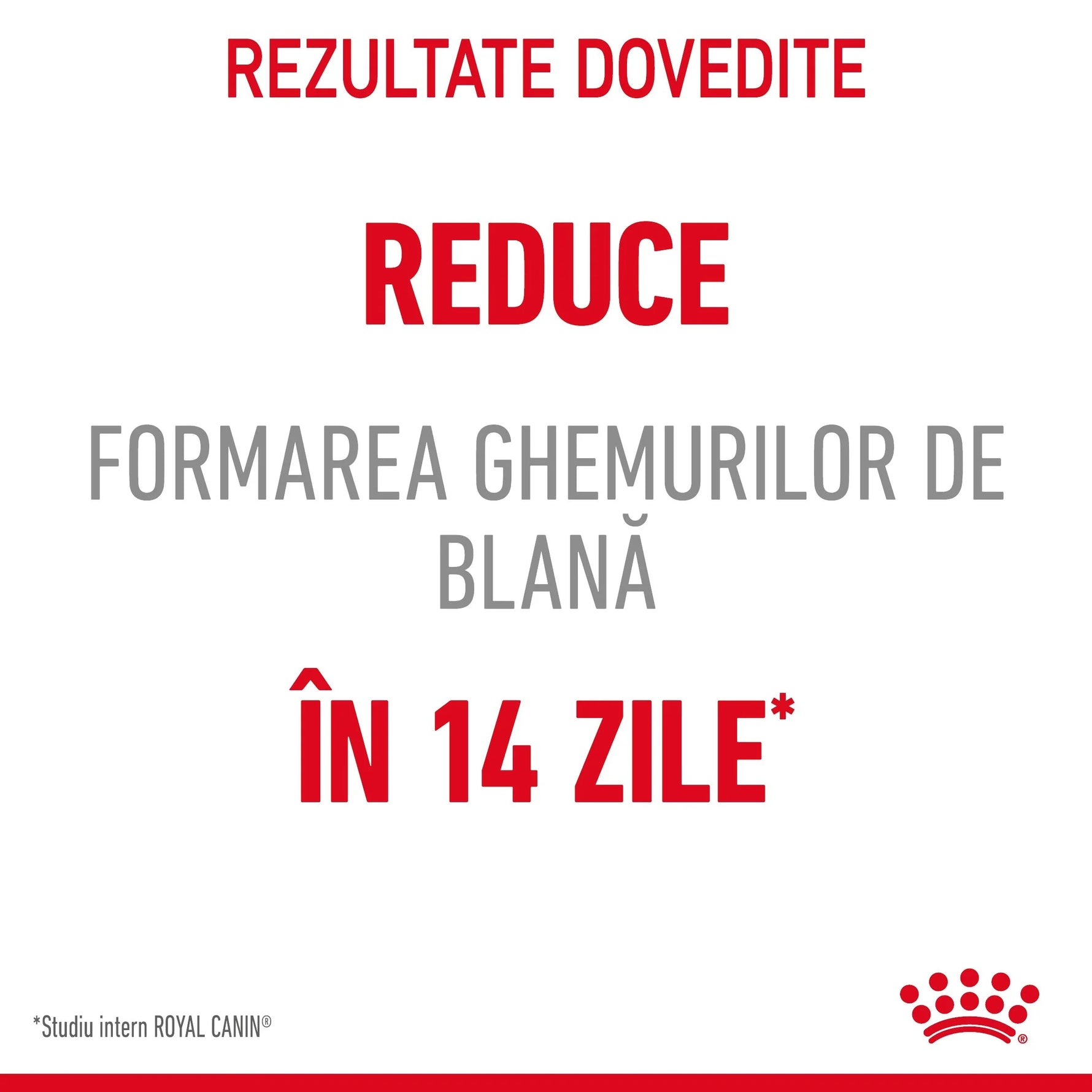 Text in Romanian about reducing hairball formation in 14 days with Royal Canin study