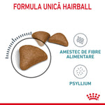 Royal Canin hairball care dry cat food kibbles with fiber and psyllium formula