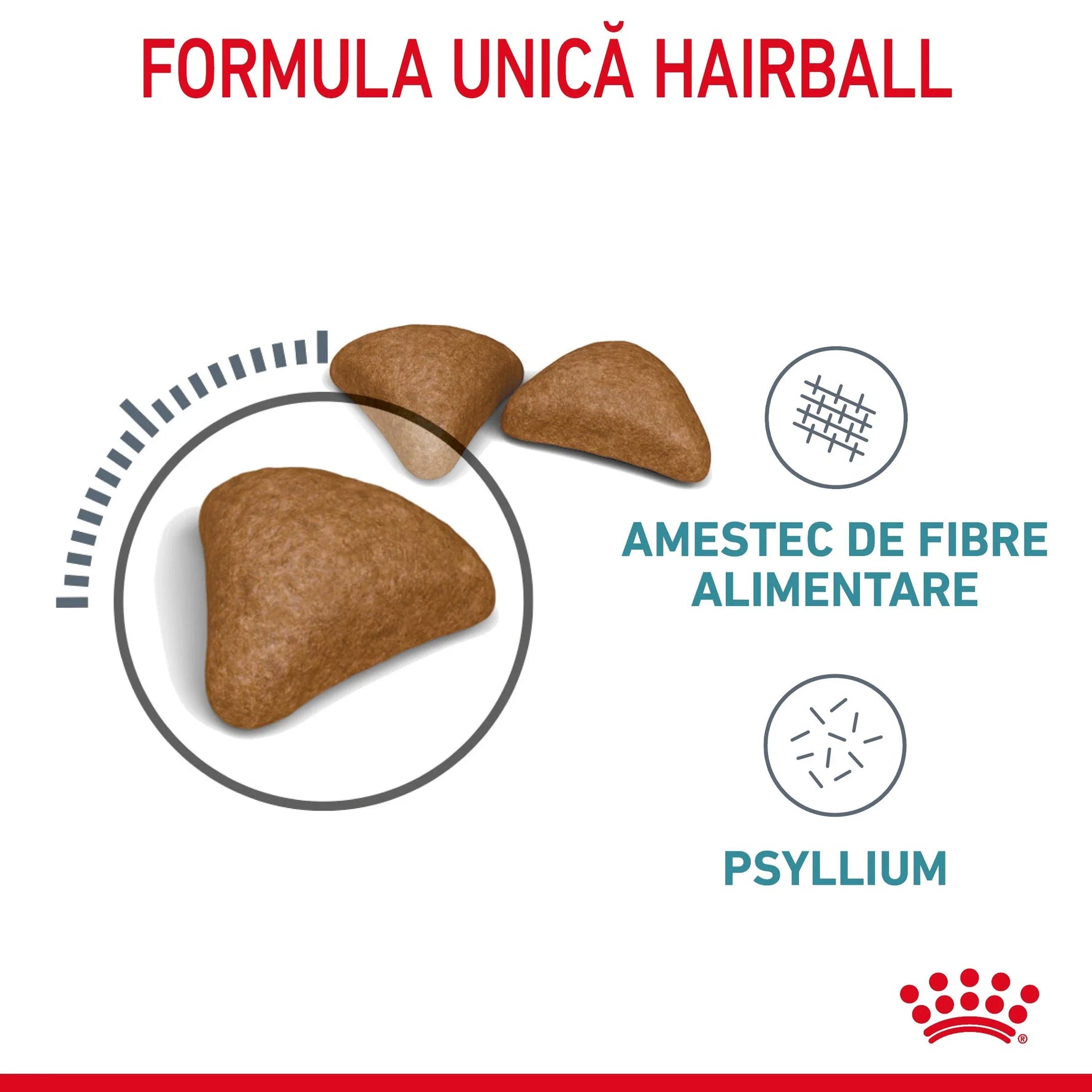 Royal Canin hairball care dry cat food kibbles with fiber and psyllium formula