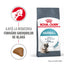 Royal Canin Hairball Care Adult hrana uscata pisica, limitarea ghemurilor de blana
