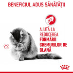 Fluffy gray cat grooming, promoting hairball control and furball reduction benefits in Romanian text
