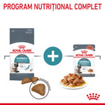 Royal Canin Hairball Care dry kibble and wet gravy cat food with packaging and product samples
