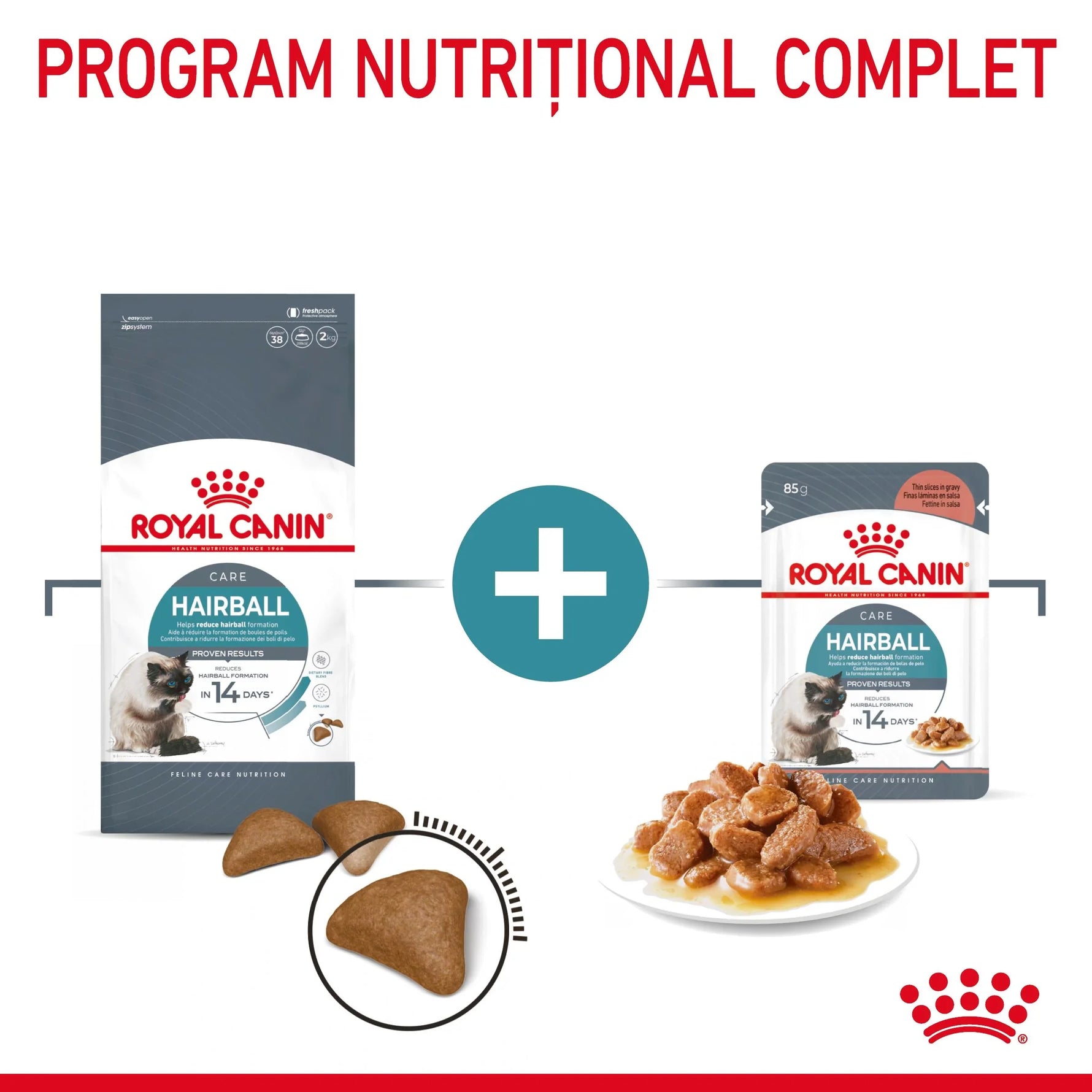 Royal Canin Hairball Care dry kibble and wet gravy cat food with packaging and product samples