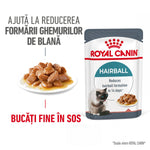 Royal Canin Hairball cat food pouch with fine chunks in sauce, reduces hairball formation