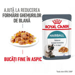 Royal Canin Hairball cat food pouch with fine meat chunks in jelly, reduces hairball formation