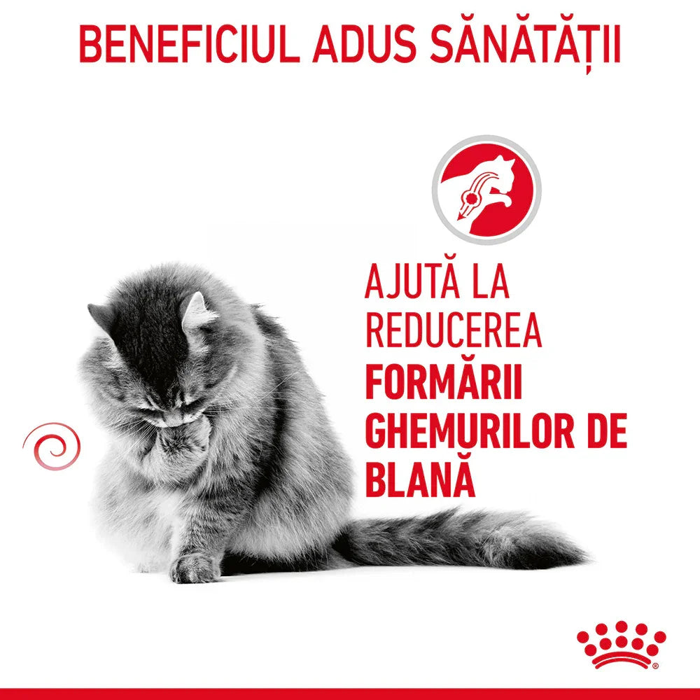 Gray fluffy cat grooming with Romanian text about hairball reduction benefits and Royal Canin logo