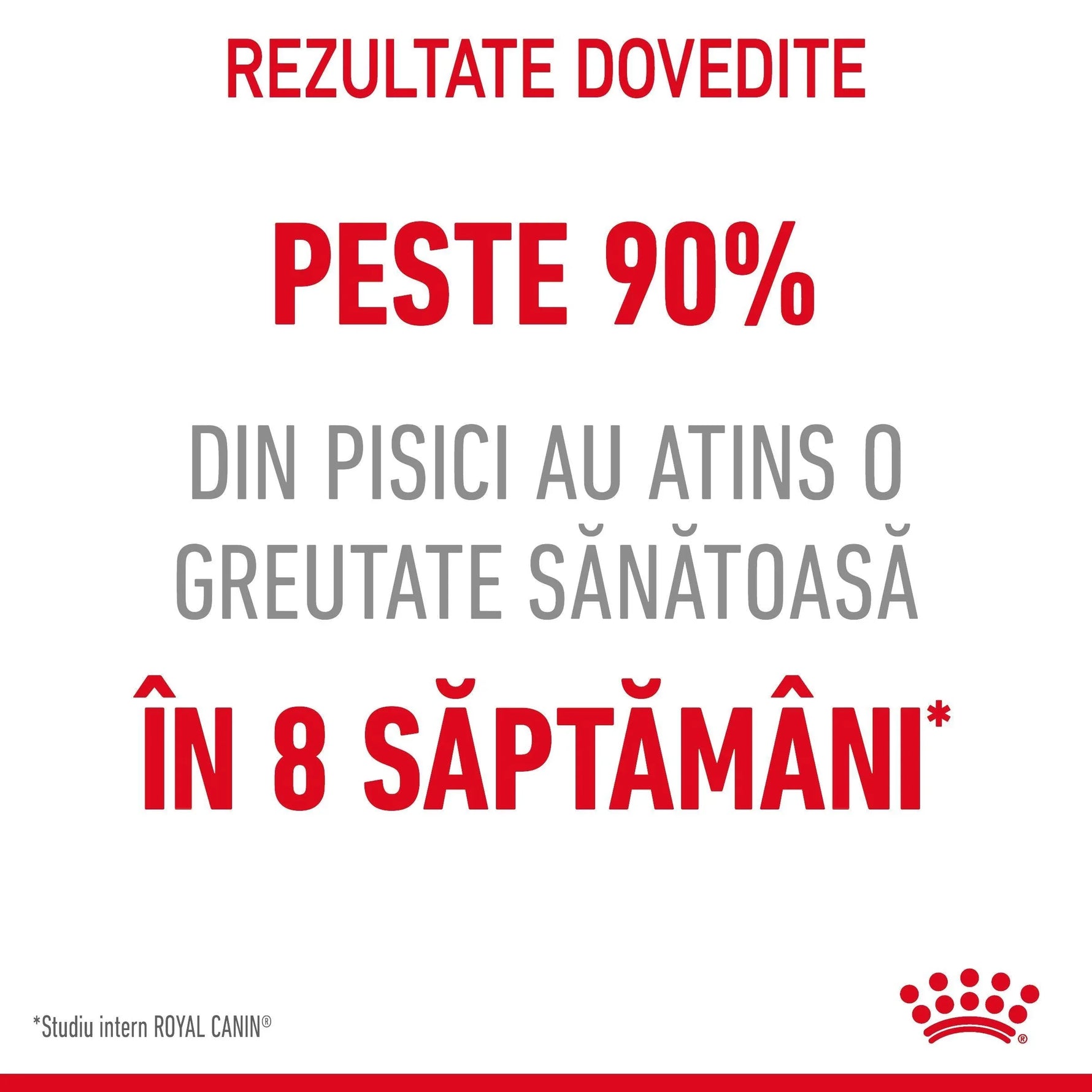 Royal Canin result claim: over 90% of cats achieved healthy weight in 8 weeks, Romanian text