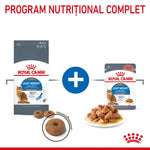 Royal Canin Light Weight dry and wet cat food packages with kibble and wet food on plates