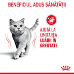 Gray cat walking with red text in Romanian about health benefits and weight management