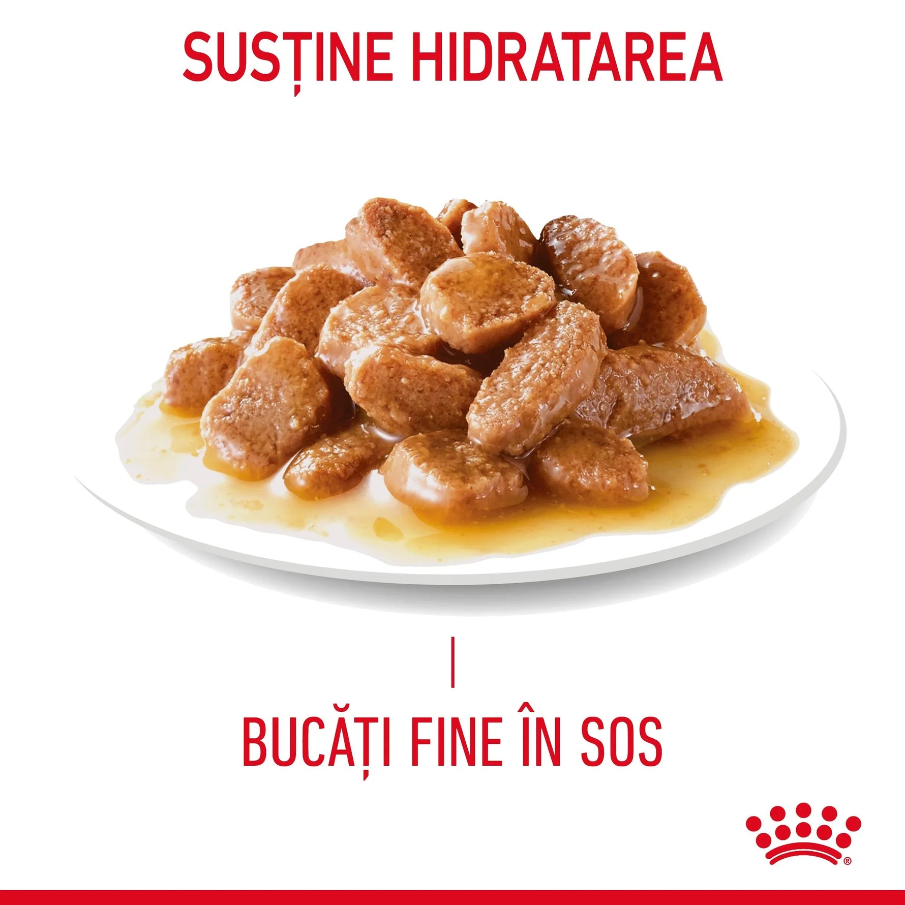 Plate of finely chopped meat chunks in sauce supporting hydration with Romanian text