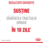 Text in Romanian promoting urinary tract health support in 10 days with Royal Canin logo
