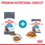 Royal Canin Urinary Care dry kibble and wet food for cats, complete urinary health nutrition