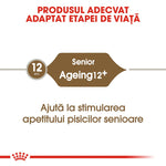 Senior cat food for ageing 12+ years, aids appetite stimulation for older cats