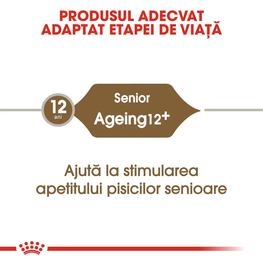Senior cat food for ageing 12+ years, aids appetite stimulation for older cats