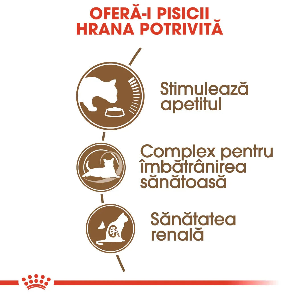 Romanian cat food benefits infographic promoting appetite stimulation, healthy aging, and kidney health