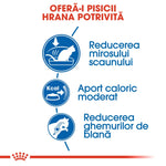 Romanian cat food benefits infographic with icons showing odor reduction, moderate calories, and hairball control