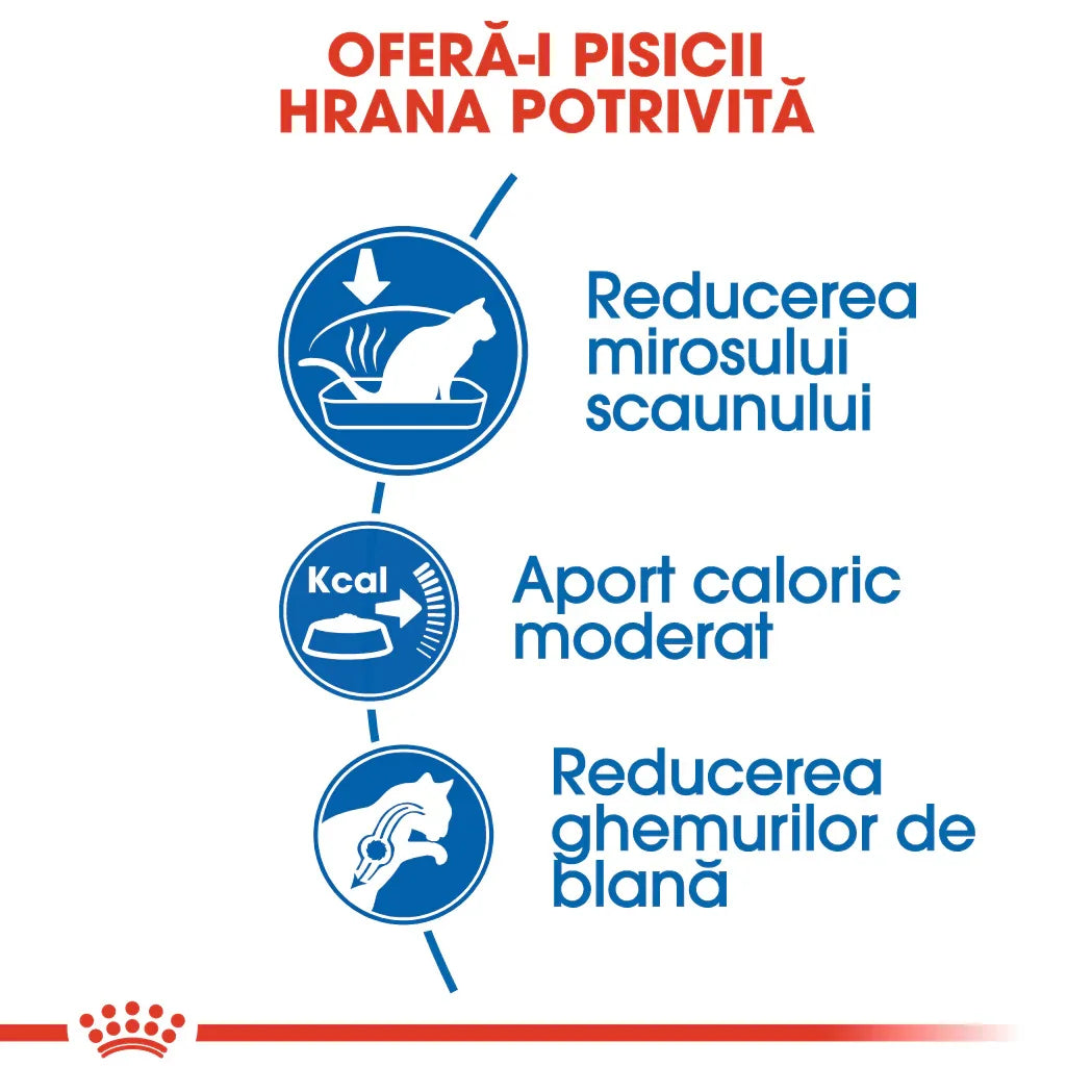 Romanian cat food benefits infographic with icons showing odor reduction, moderate calories, and hairball control