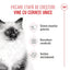Royal Canin Kitten hrana uscata pisica junior