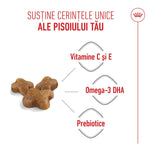 Cat food kibbles highlighting benefits with vitamins C and E, Omega-3 DHA, and prebiotics