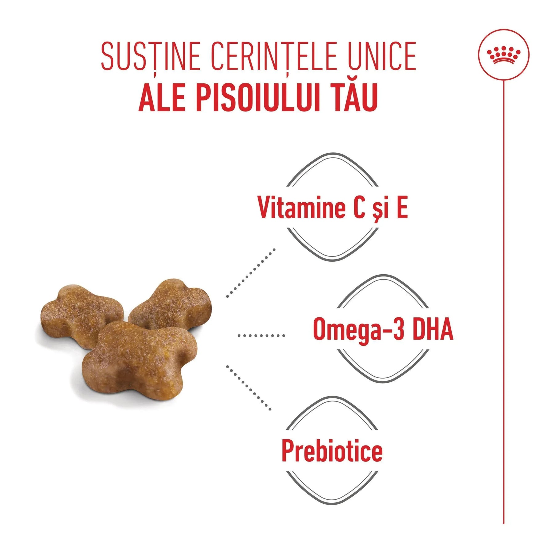 Cat food kibbles highlighting benefits with vitamins C and E, Omega-3 DHA, and prebiotics