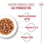 Wet cat food in a white bowl with Romanian text highlighting optimal chunk size, vitamins C and E, and Omega-3 DHA