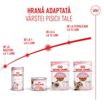 Royal Canin kitten food range by age from birth to 12 months including milk, pate, and wet food pouches