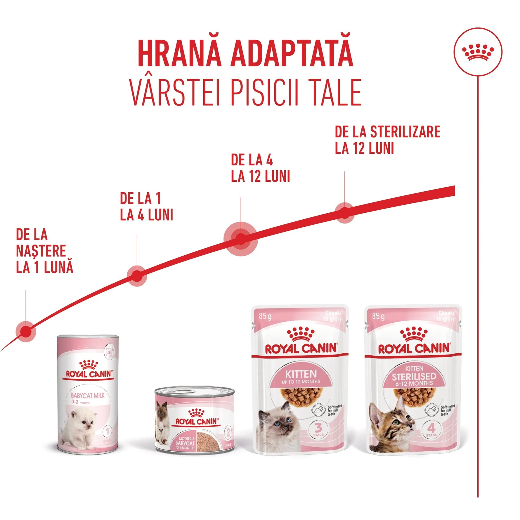 Royal Canin kitten food range by age from birth to 12 months including milk, pate, and wet food pouches