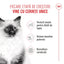 Royal Canin Kitten hrana umeda pisica junior (aspic)