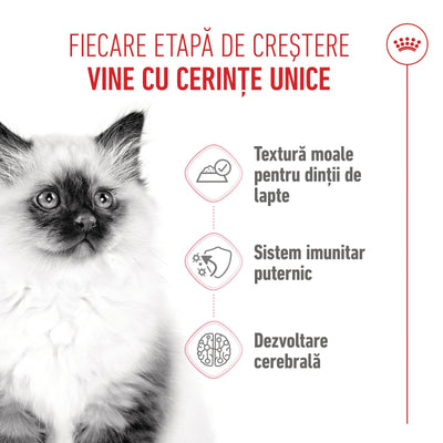Royal Canin Kitten hrana umeda pisica junior (aspic)