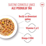 Wet cat food in a bowl with text highlighting optimal chunk size, vitamins C and E, and Omega-3 DHA