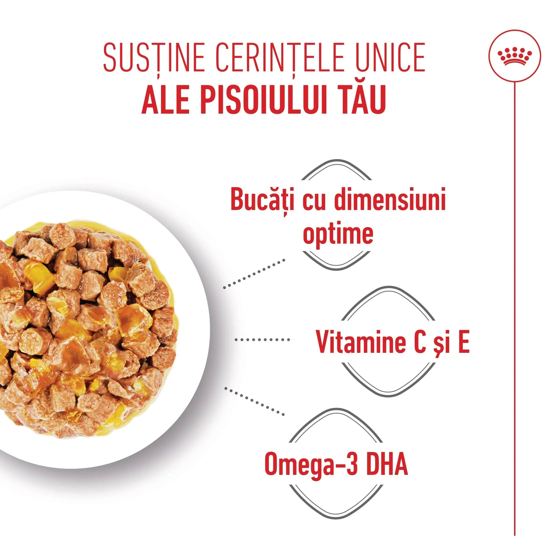 Wet cat food in a bowl with text highlighting optimal chunk size, vitamins C and E, and Omega-3 DHA
