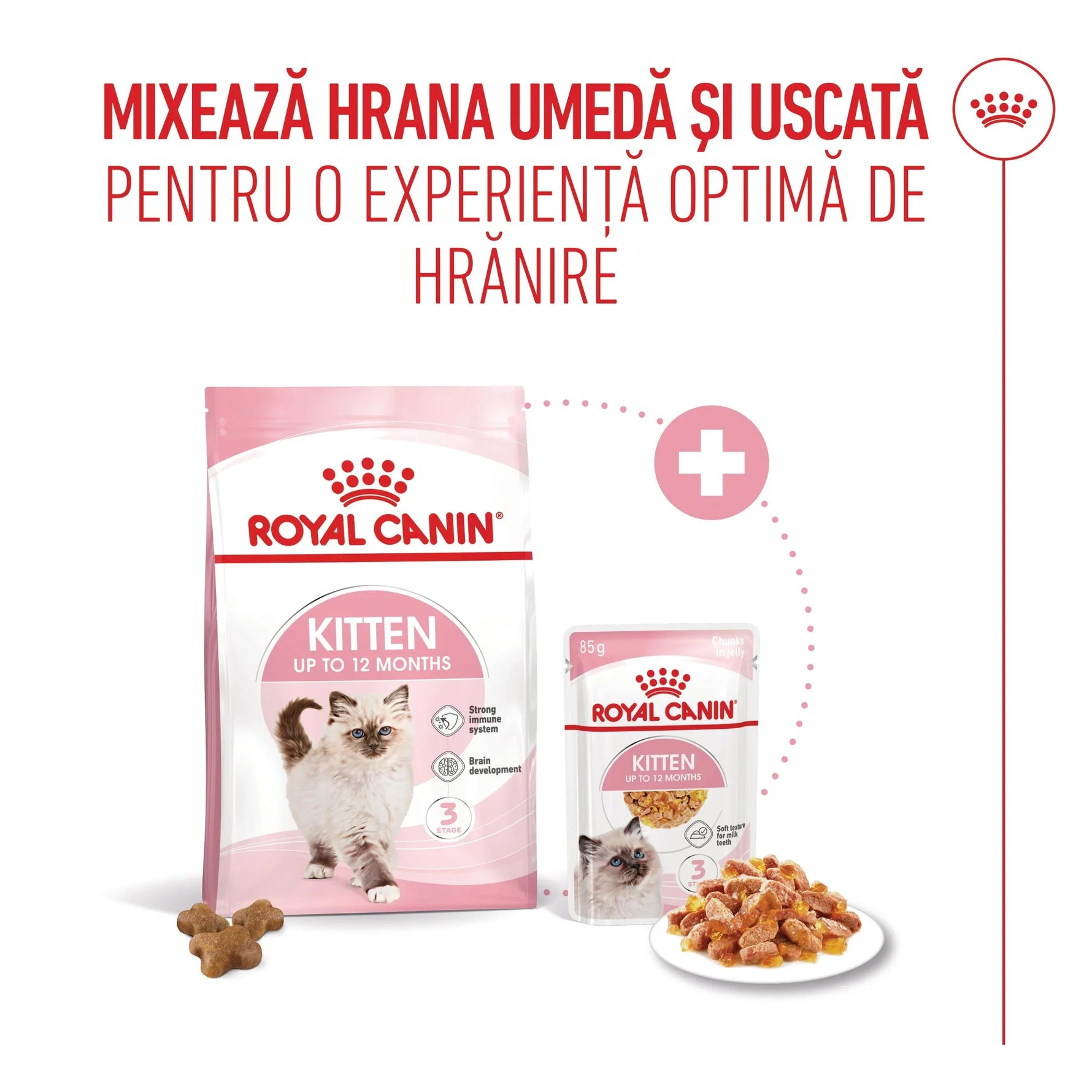Royal Canin kitten food mix with dry and wet food for kittens up to 12 months, promoting strong immune system and brain development