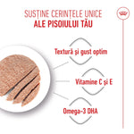 Cat food loaf with texture, optimal taste, vitamins C and E, and Omega-3 DHA benefits